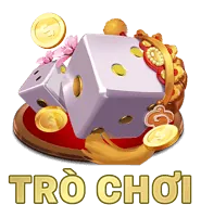 Hoàn trả hàng ngày s689